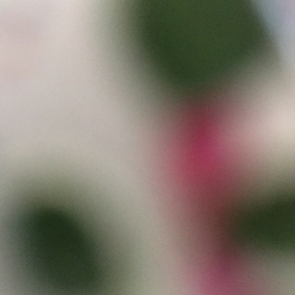 Meet your Posher, Gemma - Picture 1 of 1